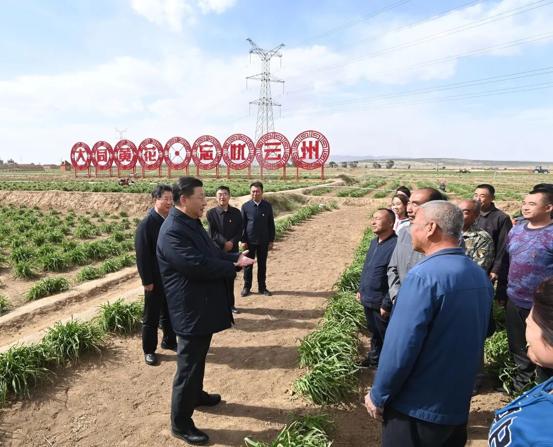 2020年5月11日，習近平考察山西大同市云州區有機黃花標準化種植基地。新華社記者 李學(xué)仁 攝